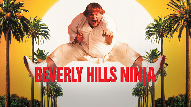 Beverly Hills Ninja