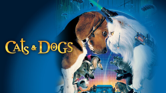 Cats & Dogs