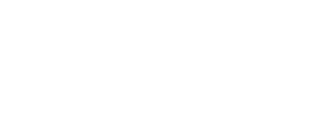 The Bodyguard 2 logo