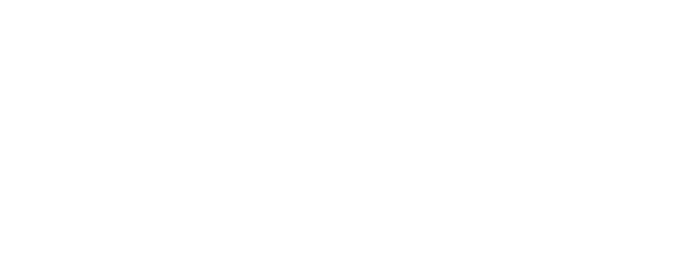 Demon Warriors logo