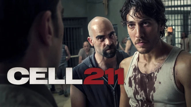Cell 211