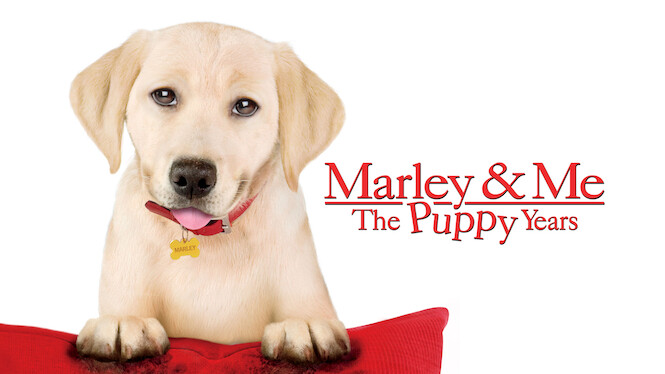 Marley & Me: The Puppy Years