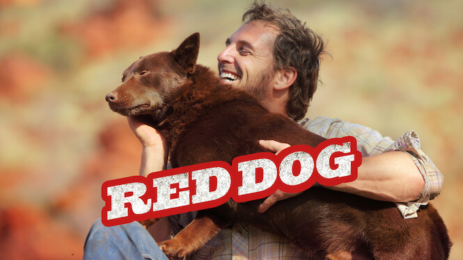 Red Dog
