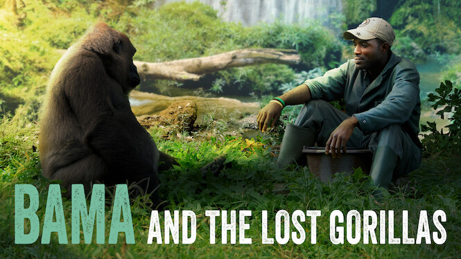 Bama and the Lost Gorillas