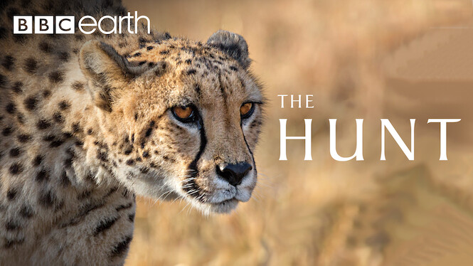 The Hunt