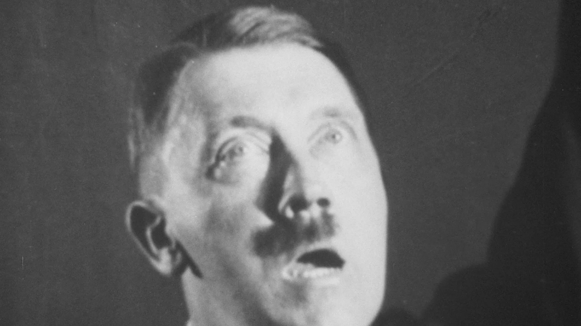 Hitler - A Career
