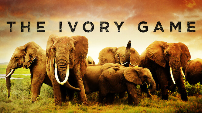 The Ivory Game