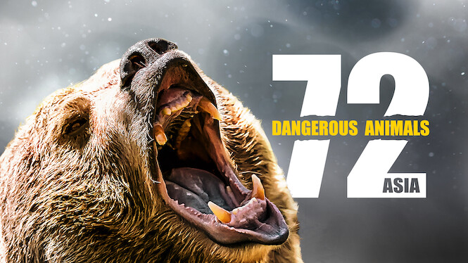 72 Dangerous Animals: Asia