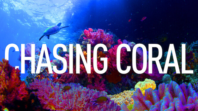 Chasing Coral