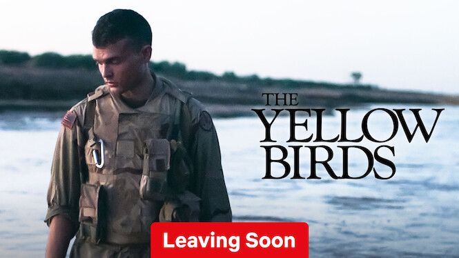 The Yellow Birds