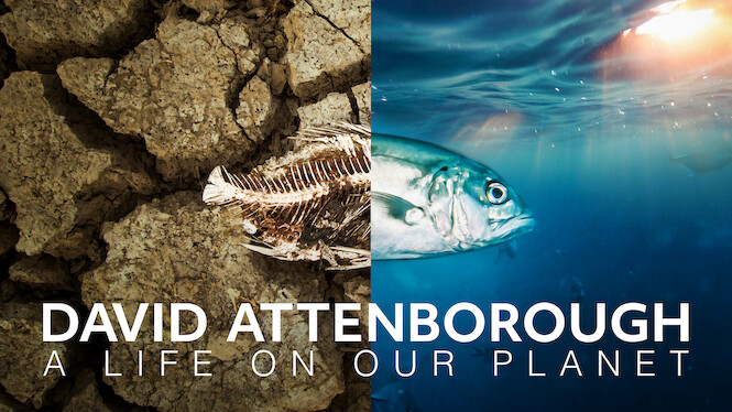 David Attenborough: A Life on Our Planet