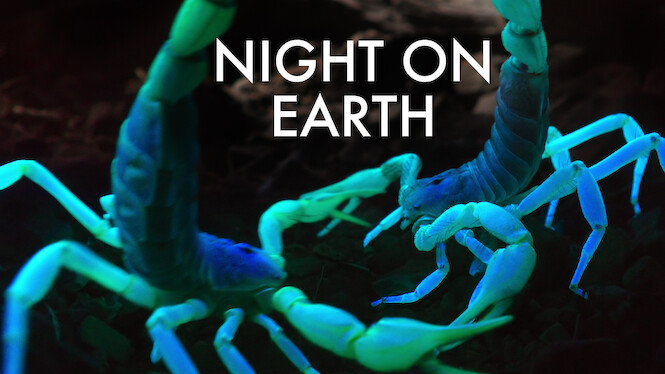 Night on Earth