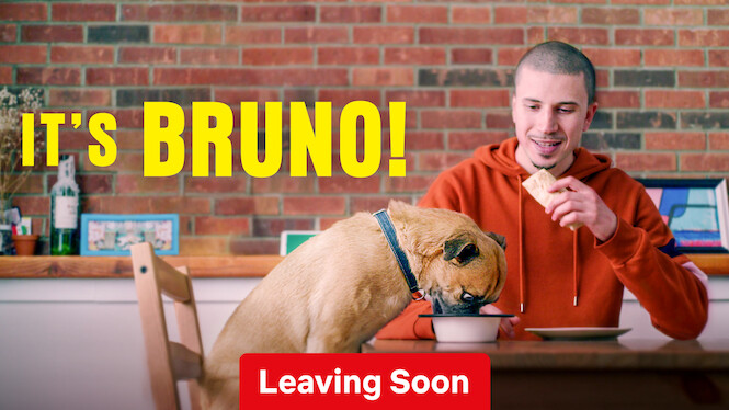 It's Bruno!