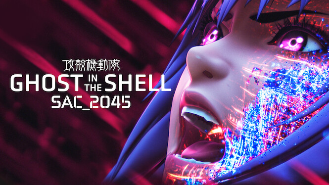 Ghost in the Shell: SAC_2045