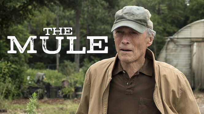 The Mule