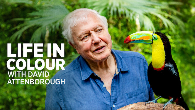 Life in Colour with David Attenborough