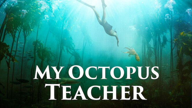 My Octopus Teacher