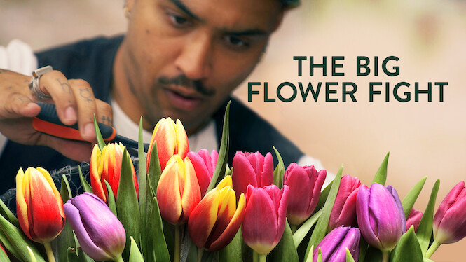 The Big Flower Fight