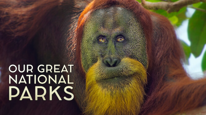 Our Great National Parks