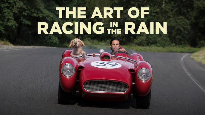 The Art of Racing in the Rain