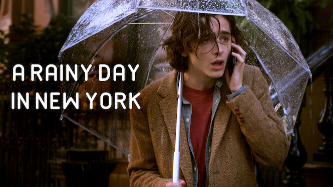 A Rainy Day in New York