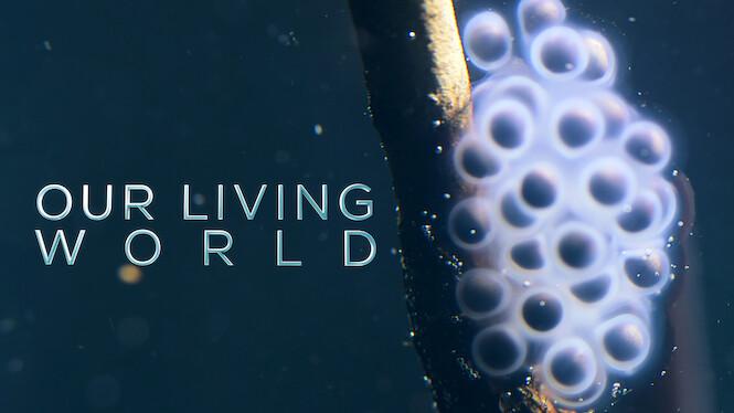 Our Living World