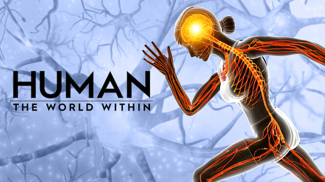Human: The World Within