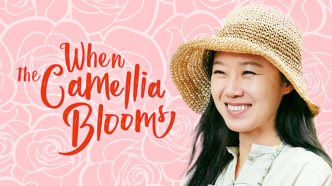 When the Camellia Blooms