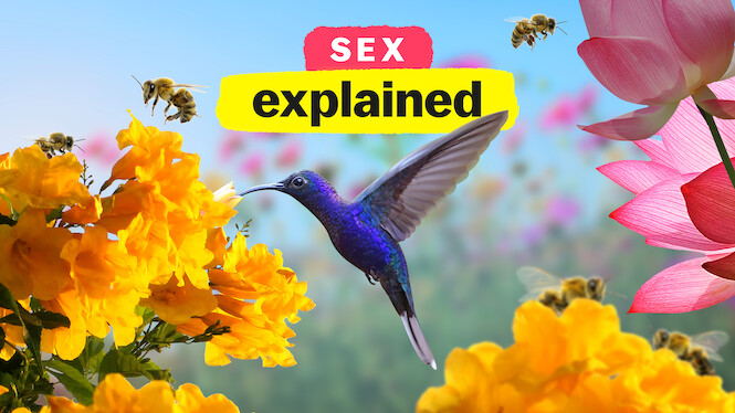 Sex, Explained