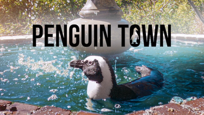 Penguin Town
