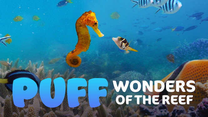 Puff: Wonders of the Reef