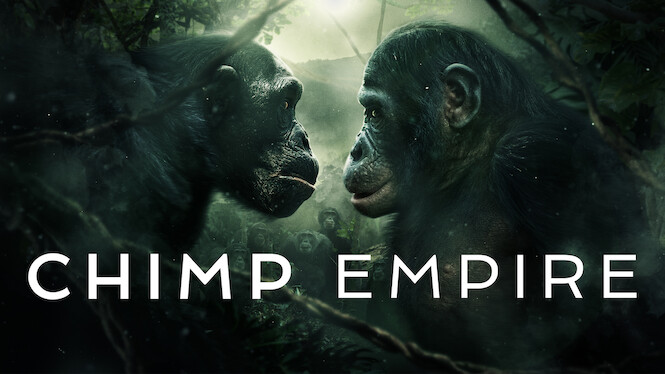 Chimp Empire