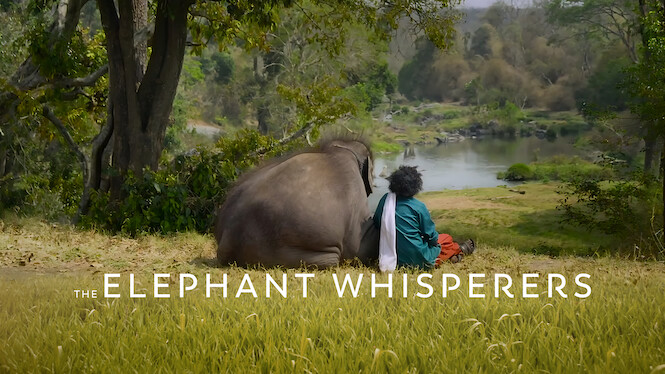 The Elephant Whisperers