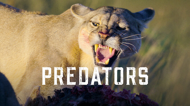 Predators