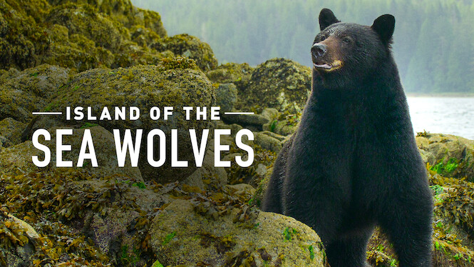 Island of the Sea Wolves