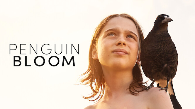 Penguin Bloom
