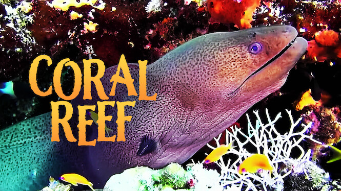 Coral Reef