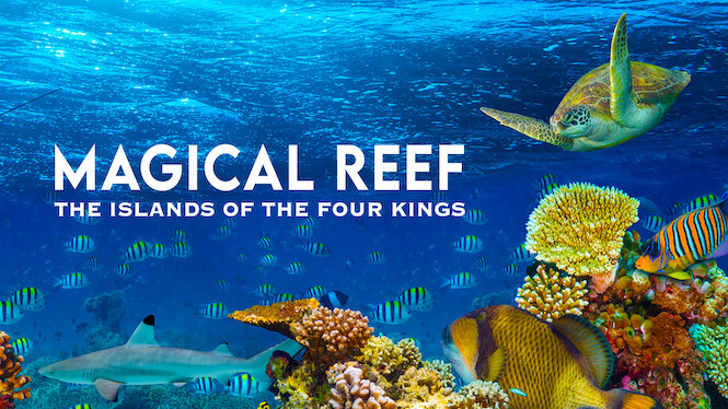 Magical Reef: The Islands Of The Four Kings