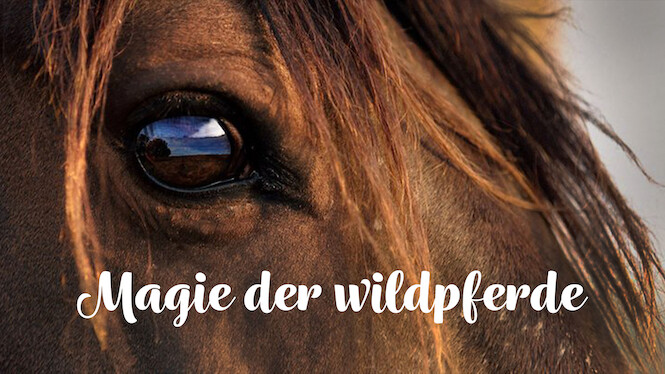Magic Of The Wild Horses