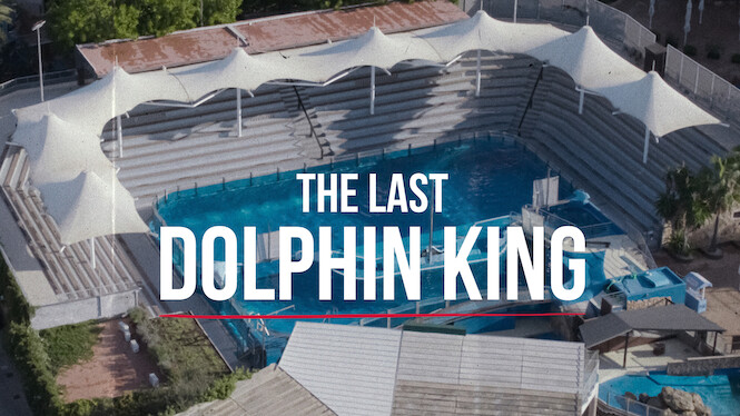 The Last Dolphin King