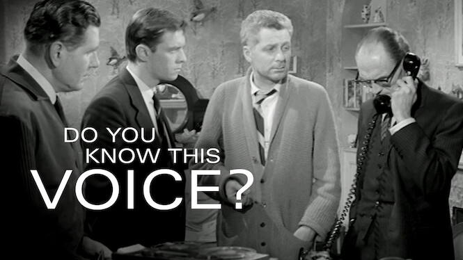 Do You Know This Voice?