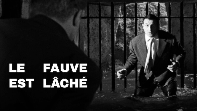 Le fauve est lâché