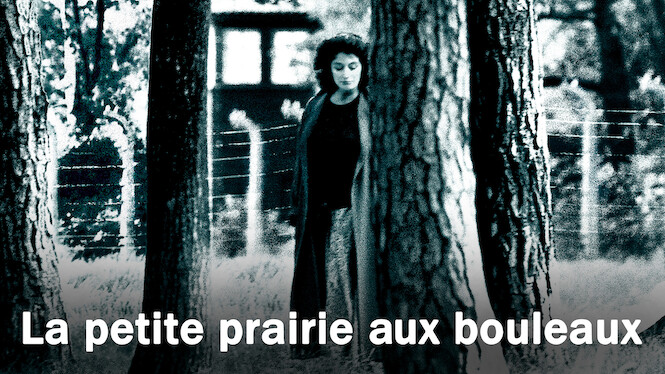 La petite prairie aux bouleaux