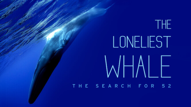 The Loneliest Whale: The Search for 52