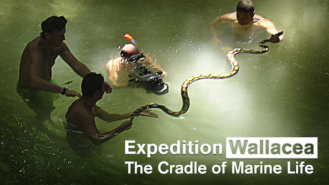 Expedition Wallacea – The Cradle of Marine Life