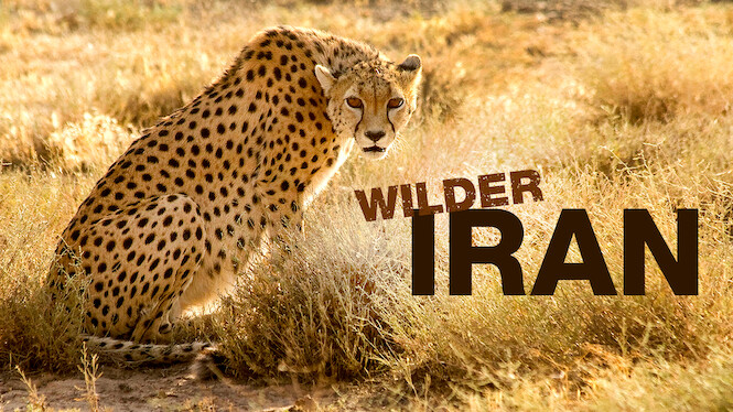 Wilder Iran