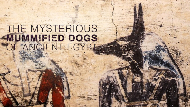 The Mysterious Mummified Dogs of Ancient Egypt