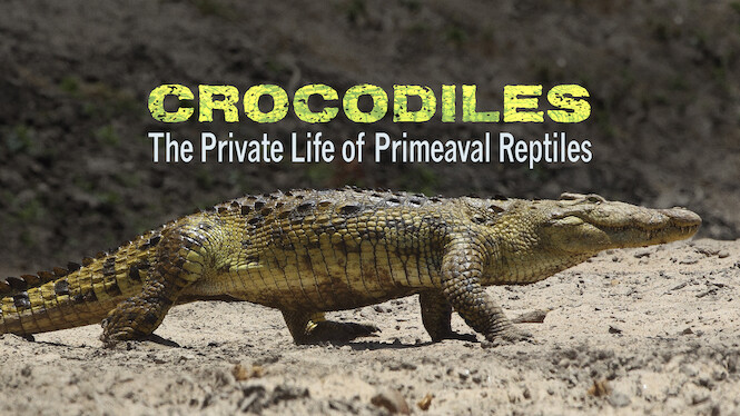 Crocodiles – The Private Life of Primeaval Reptiles
