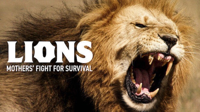Lions – Mothers’ Fight for Survival
