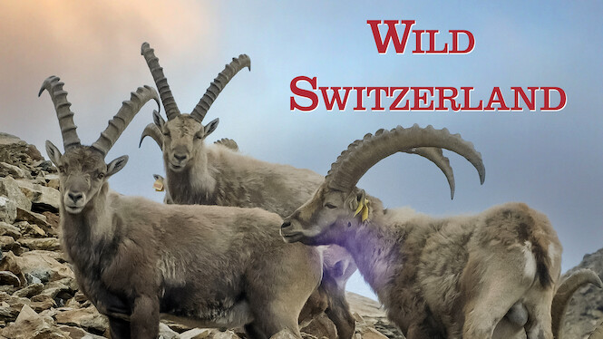 Wild Switzerland